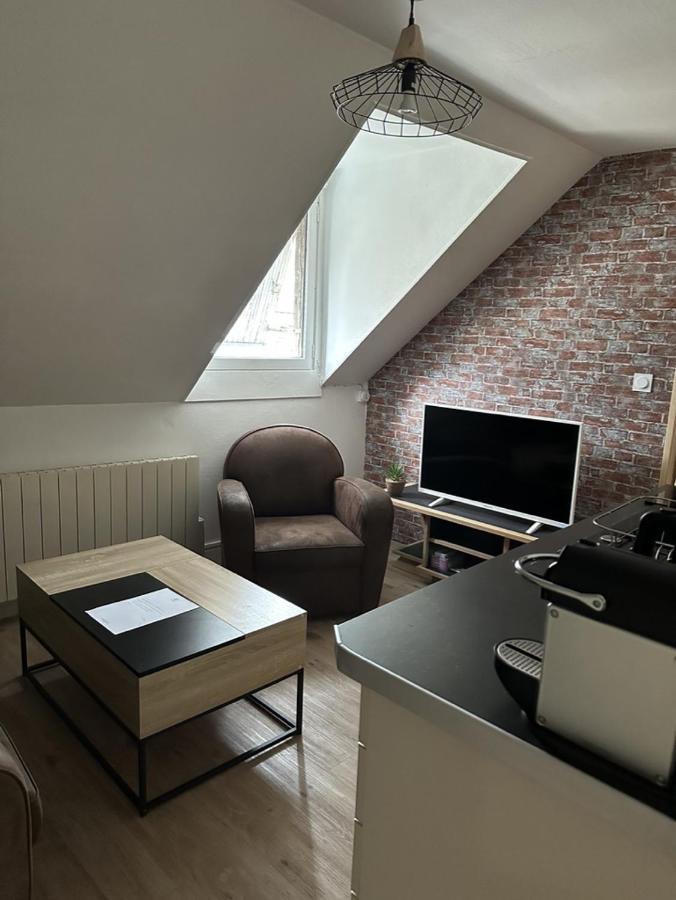 Le Studio Du Square: Beauval Romorantin-Lanthenay Kültér fotó